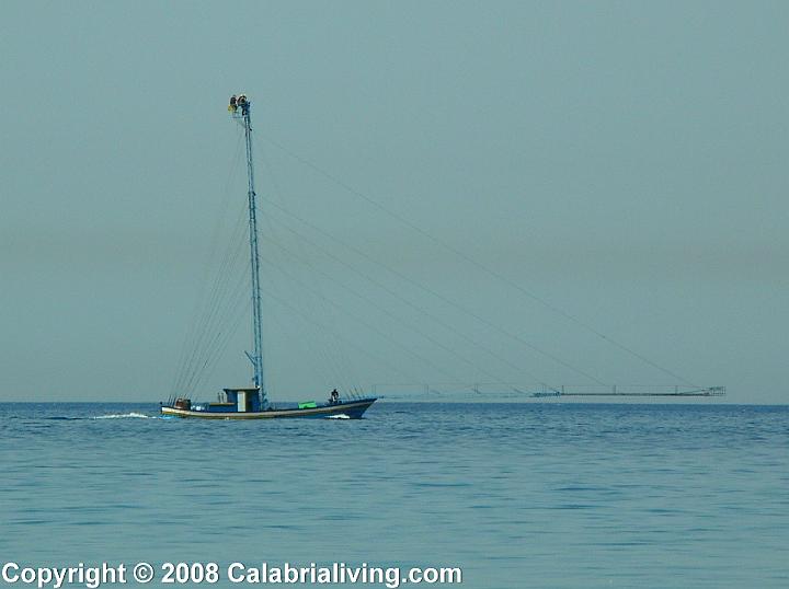 DSCN8849.JPG