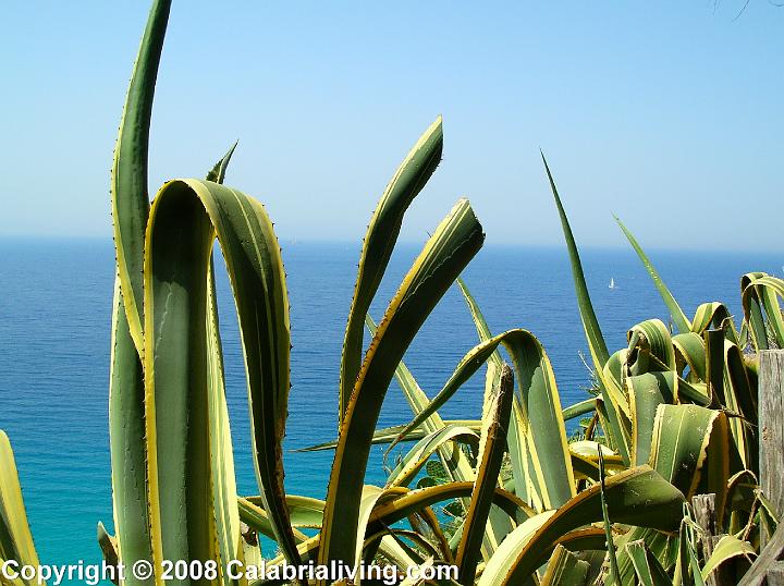 DSCN9970.JPG